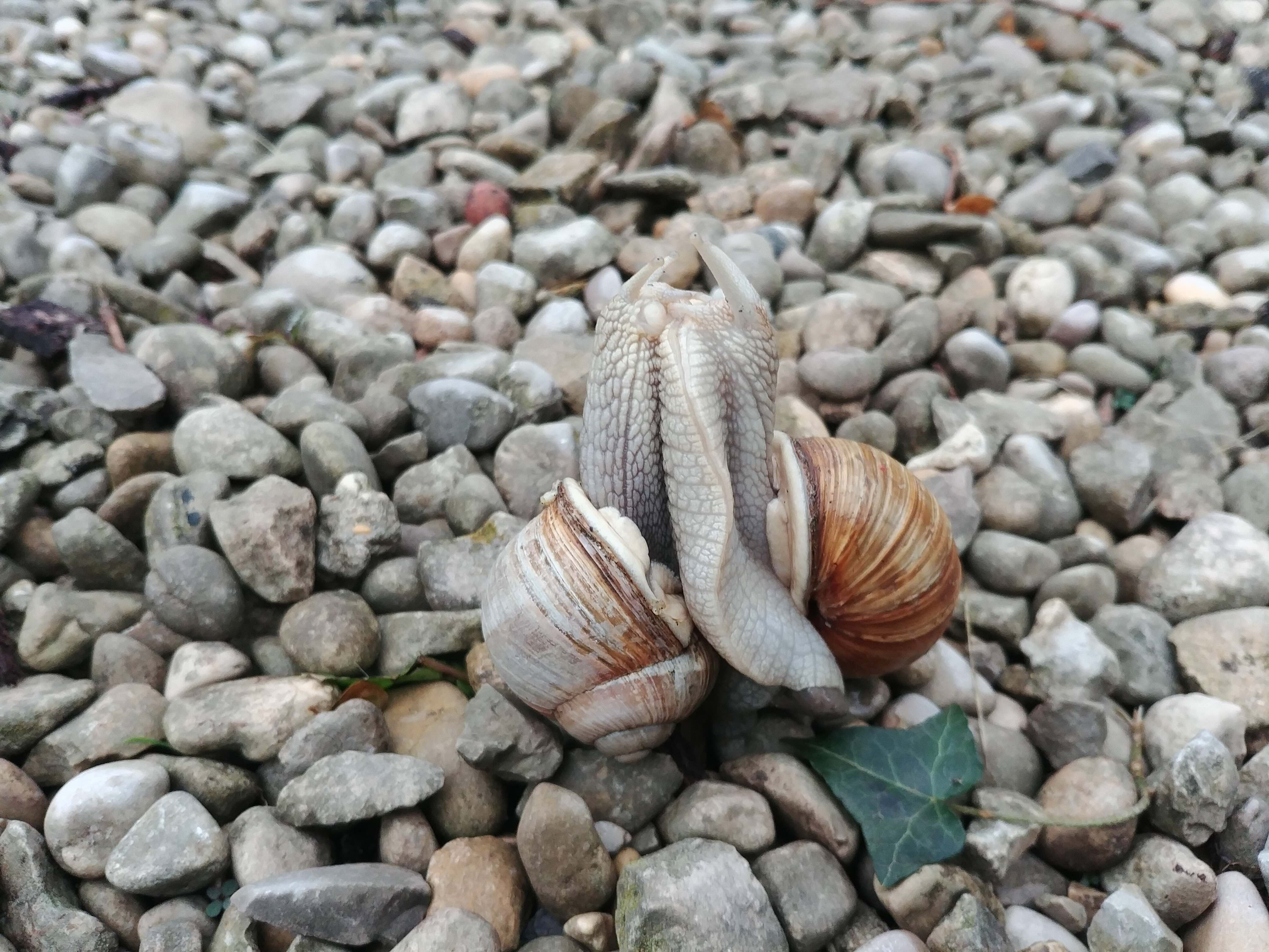 Nature Ain Jura 3